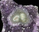 Dark Purple Amethyst Cluster On Wood Base #50707-1